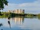 Condo buildings on a river reflecting in the water with a heron standing on a log at 9393 Midnight Pass Rd # 201, Sarasota, FL 34242