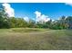 Lush green backyard with a small pond, offering a serene and private outdoor space at 12342 Lavender Loop, Bradenton, FL 34212