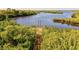 Dock surrounded by green trees at 608 Misty Pond Ct, Bradenton, FL 34212
