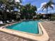 Inviting community pool surrounded by tropical foliage at 6462 Wild Oak Bay Blvd # 247, Bradenton, FL 34210