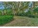 Lush backyard with mature trees, palms, and a grassy area at 114 Fieldstone Dr, Venice, FL 34292