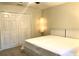 Comfortable bedroom featuring a large bed, closet, and neutral walls, creating a peaceful retreat at 209 Dragons Fire Pl, Valrico, FL 33594