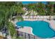 A large swimming pool surrounded by palm trees at 209 Dragons Fire Pl, Valrico, FL 33594