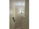 Carpeted stairwell featuring a modern chandelier and neutral paint at 209 Dragons Fire Pl, Valrico, FL 33594