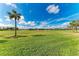 Scenic golf course view showcasing lush green grass and mature palm trees under blue skies at 318 Winding Brook Ln # 104, Bradenton, FL 34212
