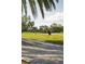 Sandhill cranes on a green lawn underneath palm trees, casting shadows on the ground at 4304 Camino Madera, Sarasota, FL 34238