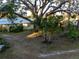 Mature trees and tropical plants in the side yard at 1416 26Th W St, Bradenton, FL 34205