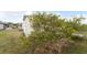 Landscaped yard with a mature tree next to the home at 3403 Overcup Oak Ter, Sarasota, FL 34237
