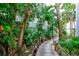 Wooden boardwalk winds through lush tropical landscaping at 6250 Holmes Blvd # 32, Holmes Beach, FL 34217