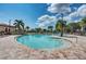 Resort-style pool with lounge chairs and landscaping at 7005 River Hammock Dr # 103, Bradenton, FL 34212