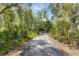 Private driveway through lush trees at 14018 Pine Woods E Ln, Sarasota, FL 34240