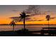 Orange sunset over calm water with palm trees silhouetted at 4528 106Th W St, Bradenton, FL 34210