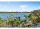 Scenic water view from the property with lush greenery and clear blue skies at 6283 Midnight Pass Rd # 6283, Sarasota, FL 34242