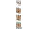 Floor plans showcasing various units, highlighting spacious layouts and features at 6418 Margarita Shores Ln, Apollo Beach, FL 33572