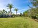 Large grassy backyard with mature palm trees and natural landscaping at 8325 Lindrick Ln, Bradenton, FL 34202