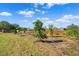 Newly planted orchard with various fruit trees at 14900 Coker Gully Rd, Myakka City, FL 34251