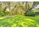 Large backyard with mature trees and lush grass at 3706 162Nd E Ave, Parrish, FL 34219