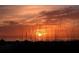 Gorgeous sunset over the water, seen through tall grass for a captivating view at 2203 Harbourside Dr, Longboat Key, FL 34228