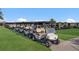 Several golf carts neatly lined up on the green at 5830 Wake Forest Run # 102, Bradenton, FL 34211