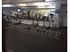State-of-the-art fitness center with various exercise equipment at 5973 Terrace Park N Dr # 208, St Petersburg, FL 33709