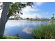 Beautiful lake view with reeds and the reflection of the clouds in the water at 9514 Colonial Dr, Bradenton, FL 34210