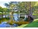 Picturesque pond with tree reflections is surrounded by lush greenery, enhancing the serene outdoor atmosphere at 9514 Colonial Dr, Bradenton, FL 34210