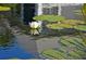 A serene water lily pond reflecting the sky in a peaceful, natural setting at 9514 Colonial Dr, Bradenton, FL 34210