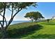 Scenic waterfront view with lush green lawn and mature trees, offering tranquility and natural beauty at 9514 Colonial Dr, Bradenton, FL 34210