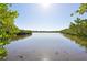 Serene view of calm water with mangrove trees at 5060 Lake Overlook Ave, Bradenton, FL 34208
