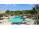 Resort-style pool with beautiful palm trees, lounge chairs, and a green hillside in the distance at 6005 Mesa Gln, Bradenton, FL 34203