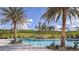 Resort-style pool with palm trees and lounge chairs at 6097 Mesa Gln, Bradenton, FL 34203