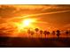 Scenic sunset view with vibrant orange sky, silhouetted palm trees, and a bridge at 730 40Th St, Sarasota, FL 34234