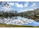 Serene lake view with lush greenery and a partly cloudy sky at 4882 Tivoli Ave, Sarasota, FL 34235