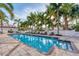Inviting swimming pool lined with palm trees, lounge chairs and tables, surrounded by well-maintained landscaping at 461 Nokomis S Ave, Venice, FL 34285
