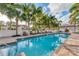 Inviting swimming pool lined with palm trees, lounge chairs and tables, surrounded by well-maintained landscaping at 461 Nokomis S Ave, Venice, FL 34285