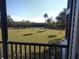 Serene view of grassy area with palm trees at 515 Leffingwell Ave # 109, Ellenton, FL 34222
