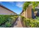 Brick pathway meanders through lush landscaping, offering a serene walkway at 5341 Popoli Way, Sarasota, FL 34238