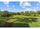 Lush backyard featuring green grass and palm trees on a sunny day at 942 Preservation St, Bradenton, FL 34208