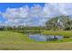 Serene lake view with lush green grass and mature trees at 963 River Wind Cir, Bradenton, FL 34212