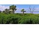 Lush waterfront landscape with palm trees at 1010 Tidewater Shores Loop # 103, Bradenton, FL 34208