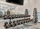 Fitness center with various weights and a mirror at 10426 Abaco Falls Dr, Englewood, FL 34223