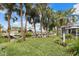 Landscaped backyard with canal access and lush palms at 4611 Shark Dr, Bradenton, FL 34208