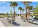 Outdoor community space with picnic tables, seating, and string lights under mature palm trees at 8328 Sea Glass Ct, Sarasota, FL 34240