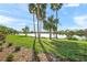 A lush backyard view featuring palm trees and serene lake at 518 Luminary Blvd, Osprey, FL 34229
