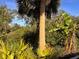 Mature palm trees and tropical foliage create a vibrant, natural landscape at 12130 Dorado Dr, North Port, FL 34287