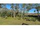 Serene backyard with lush greenery and wooded area at 1609 Palm View Rd, Sarasota, FL 34240