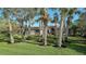 Lush front lawn with mature palm trees surrounding a decorative stone and stucco home at 1609 Palm View Rd, Sarasota, FL 34240