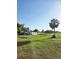 Home with a large yard and palm tree at 2815 Us-41 N, Palmetto, FL 34221