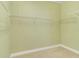 Large walk-in closet with wire shelving at 3002 Florida Elm Pl, Seffner, FL 33584