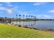 A serene lake view framed by palm trees and lush greenery in a peaceful residential setting at 4779 Pastel Ct, Sarasota, FL 34240